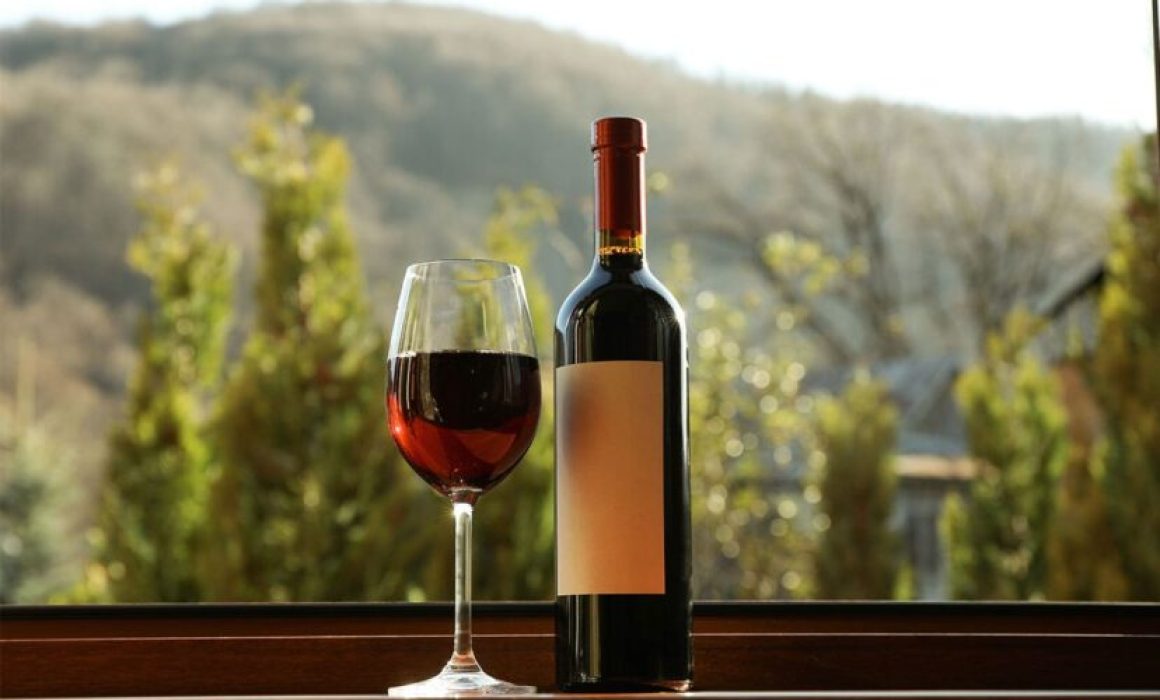 IA, agricultura de precisión y enoturismo, la nueva era del vino mexicano